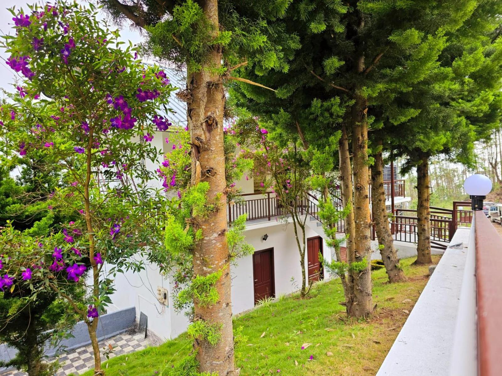 Bed and Breakfast Rock And Mist Munnar Devikolam Экстерьер фото